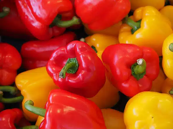 alimentos saudáveis