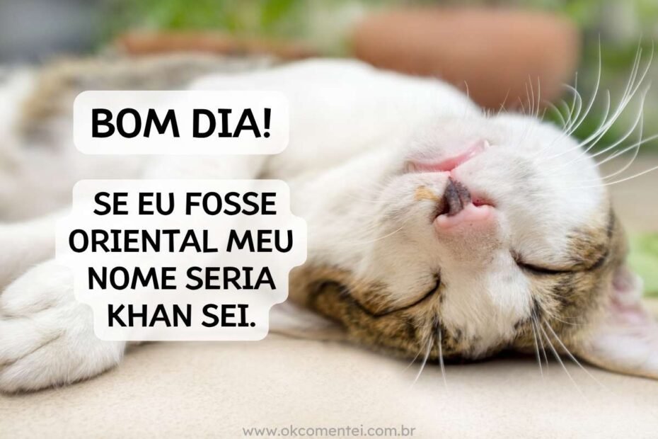 mensagem-de-bom-dia-engraçado