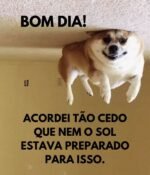 32 mensagens engraçadas de bom dia para começar o dia sorrindo