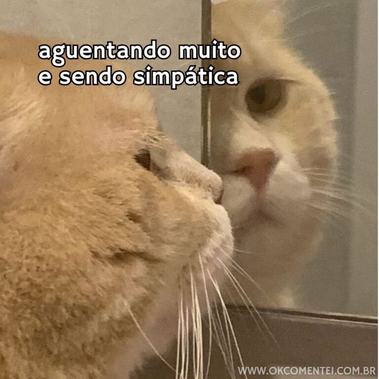 42 Memes Engra ados Que Representam Perfeitamente A Vida Real 42 Memes Engra ados Que Representam Perfeitamente A Vida Real