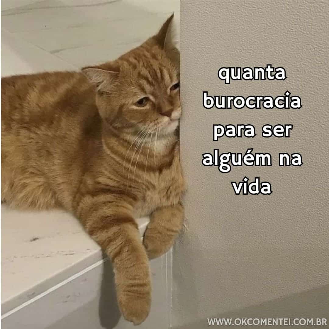42 Memes Engra ados Que Representam Perfeitamente A Vida Real