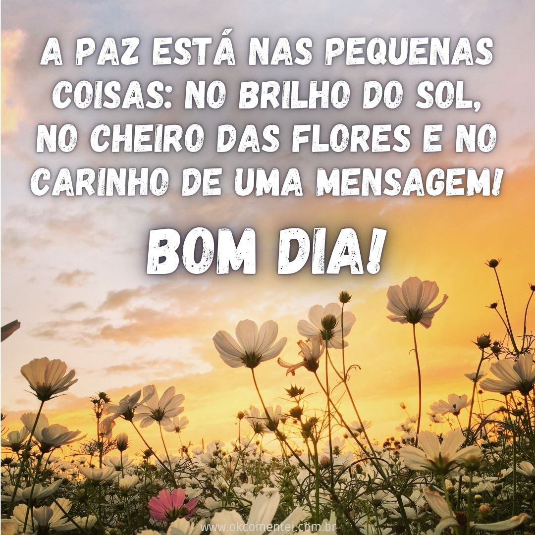 21 bom dia com flores para WhatsApp: as mais lindas mensagens