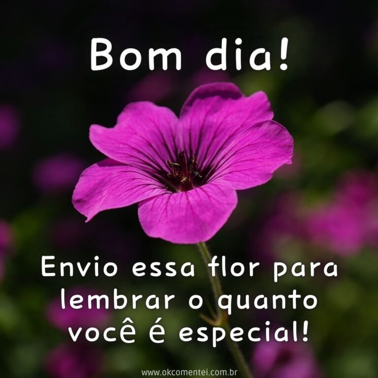 21 bom dia com flores para WhatsApp: as mais lindas mensagens