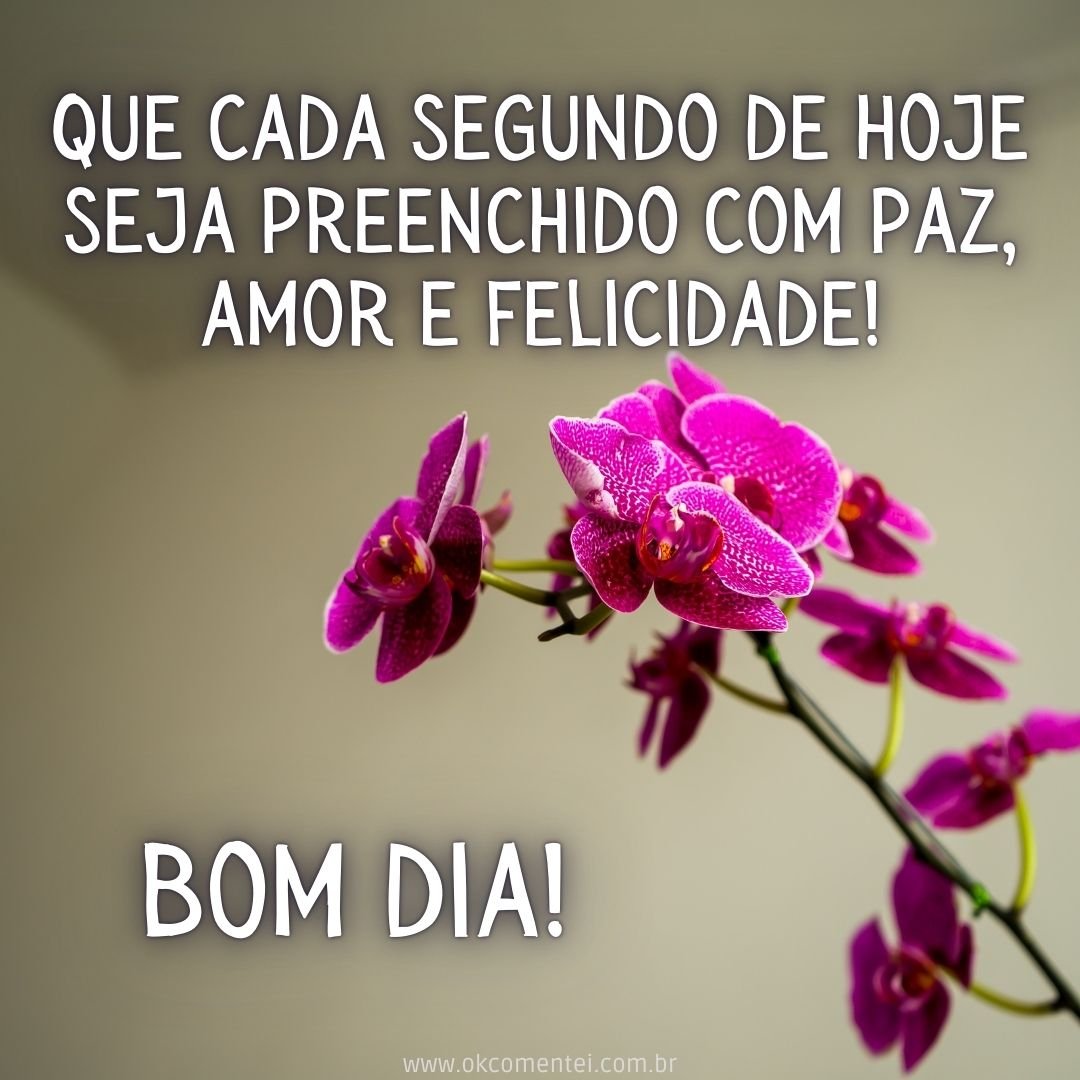 21 bom dia com flores para WhatsApp: as mais lindas mensagens