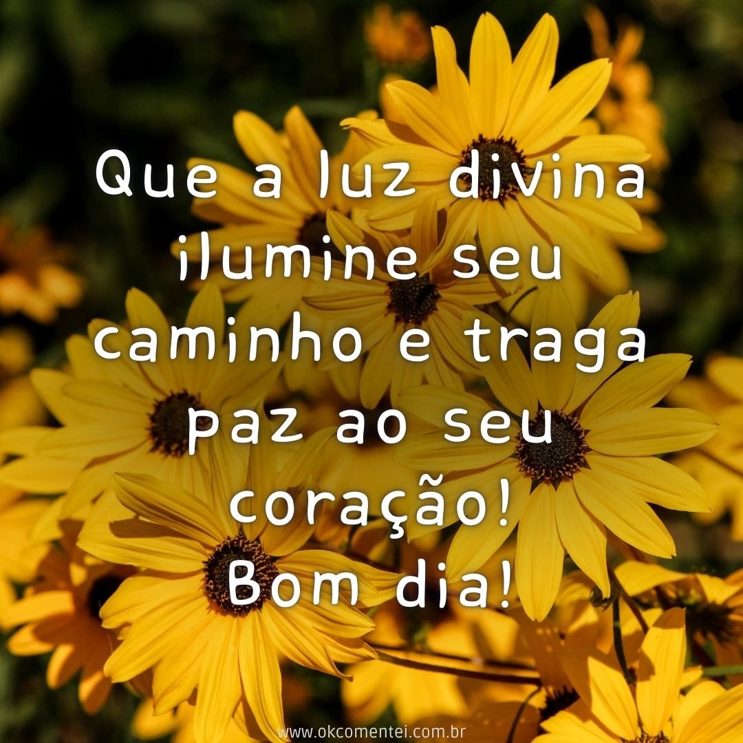 21 bom dia com flores para WhatsApp: as mais lindas mensagens