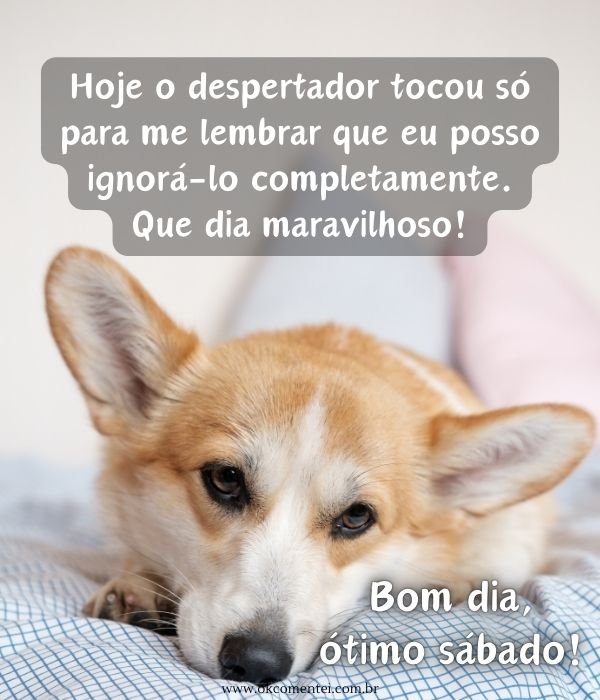 Bom dia, sábado: 37 mensagens para celebrar o início do fim de semana bom-dia-sábado