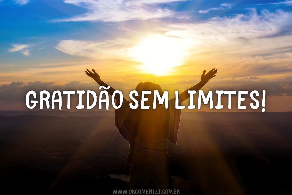 Frase De Agradecimento 111 Mensagens Para Expressar Sua Gratid o frase-de-agradecimento-111-mensagens-para-expressar-sua-gratid-o