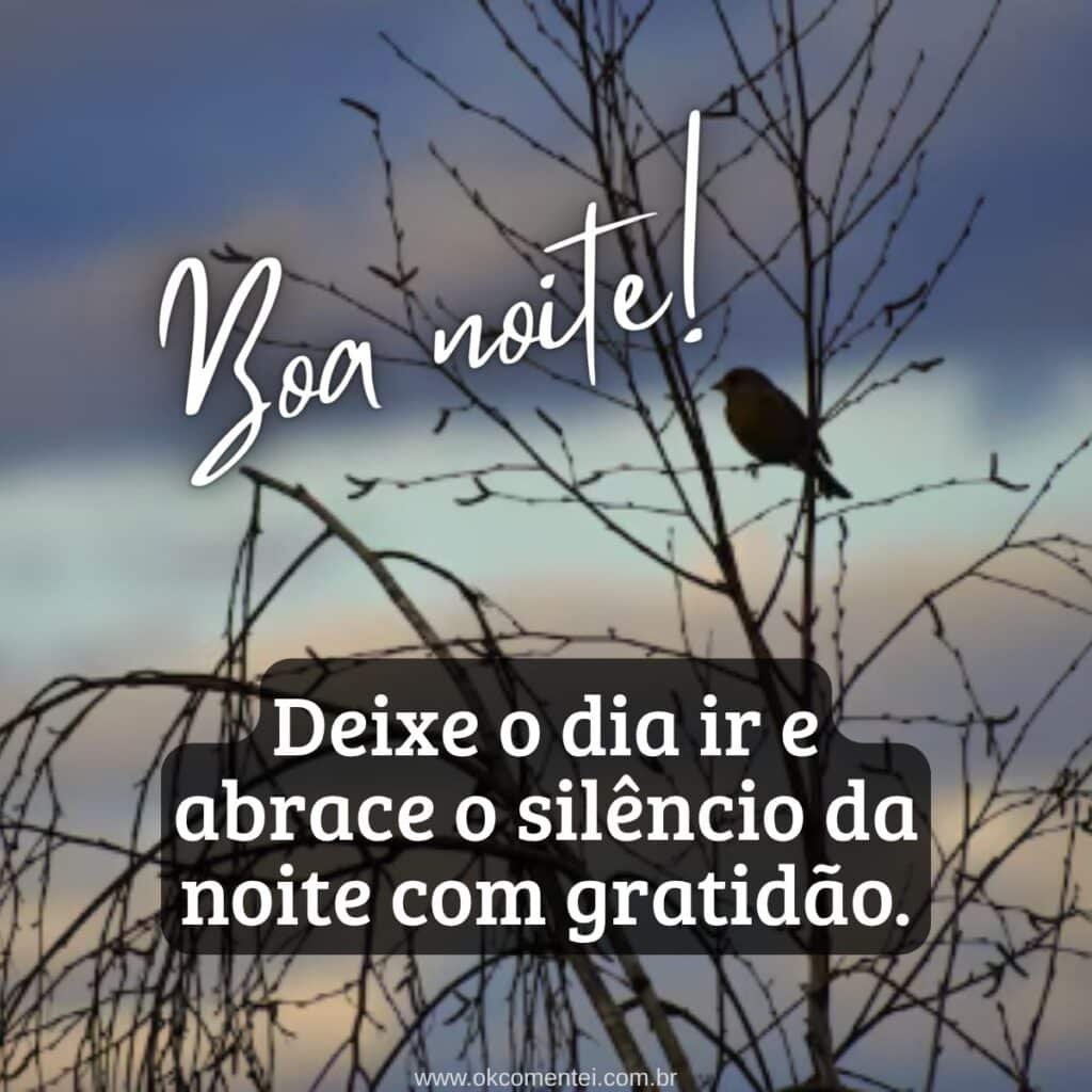 boa-noite-com-carinho