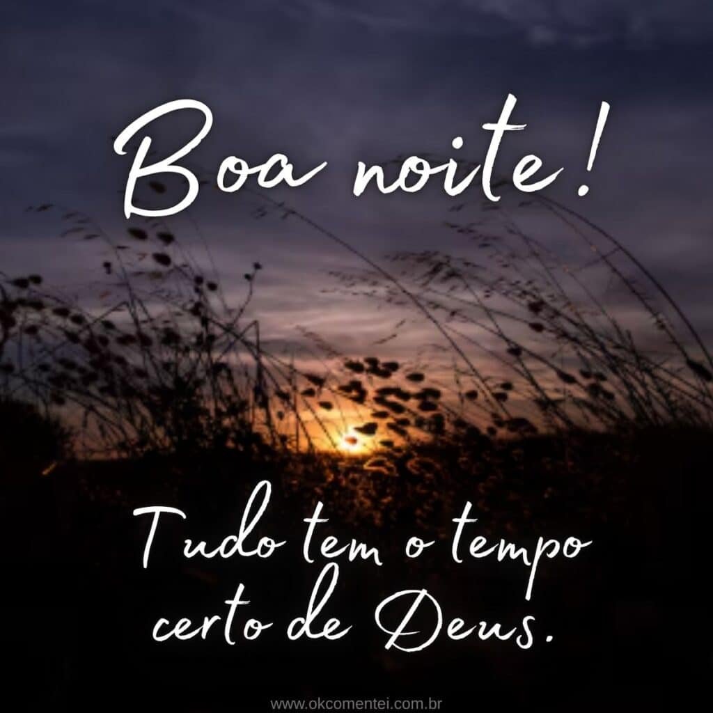 boa-noite-com-carinho