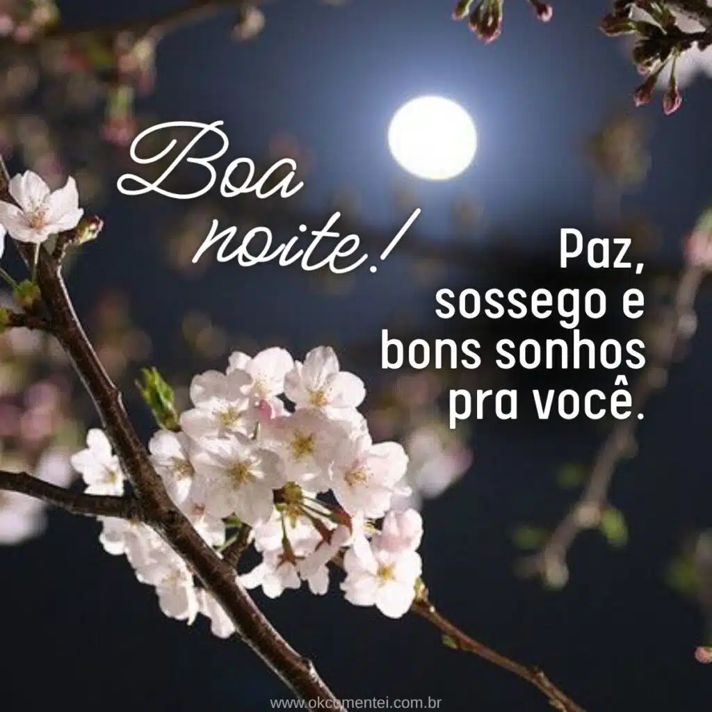 boa-noite-com-carinho