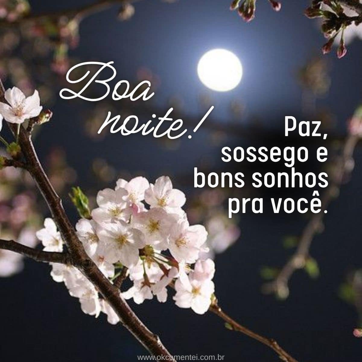 35 mensagens de boa noite com carinho para WhatsApp