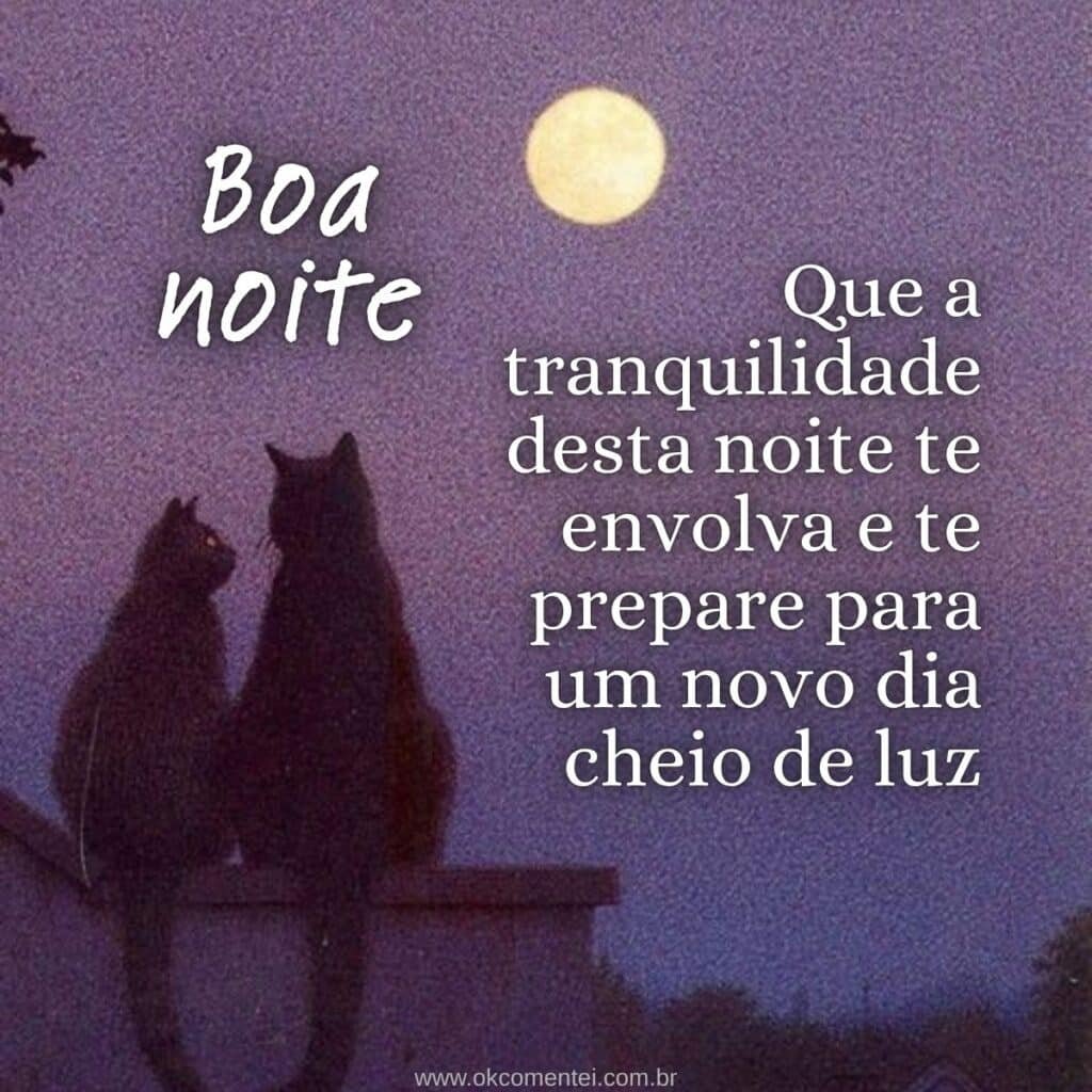 boa-noite-com-carinho