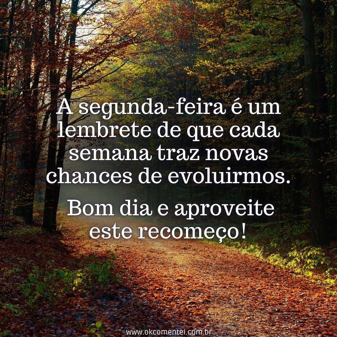 Bom dia, segunda-feira: 38 mensagens para começar a semana