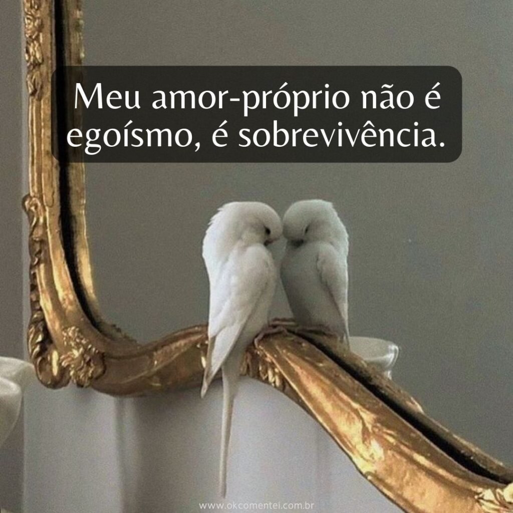 99 frases de amor-próprio para valorizar quem você é frases-de-amor-próprio