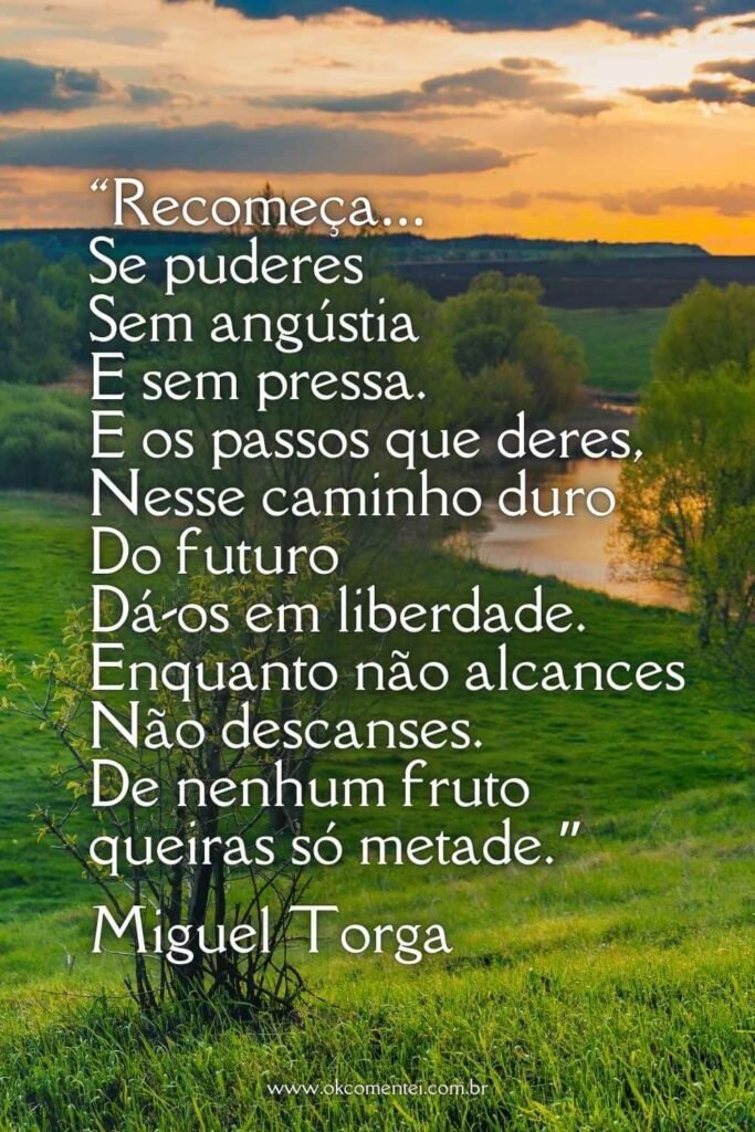 101 frases para recomeço: inspiração para uma nova fase da vida frases-para-recomeçar
