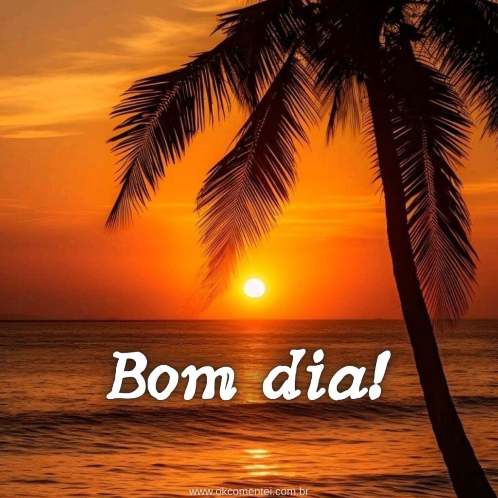 Imagem de bom dia: 31 opções perfeitas para compartilhar imagem-de-bom-dia