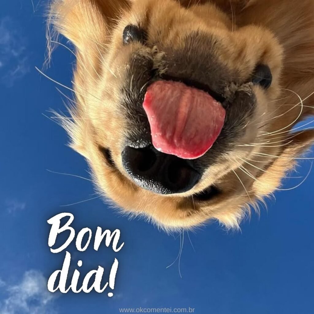 Imagem de bom dia: 31 opções perfeitas para compartilhar imagem-de-bom-dia
