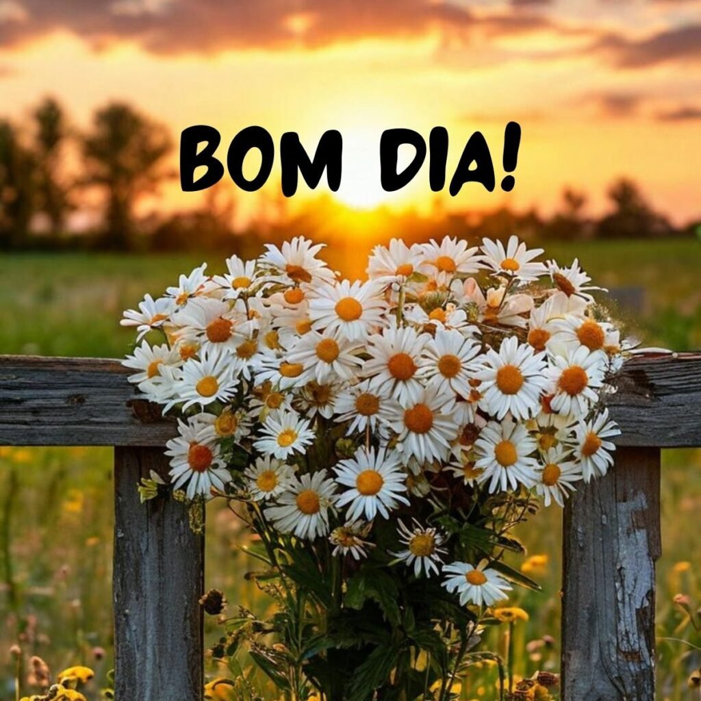 Imagem de bom dia: 31 opções perfeitas para compartilhar imagem-de-bom-dia
