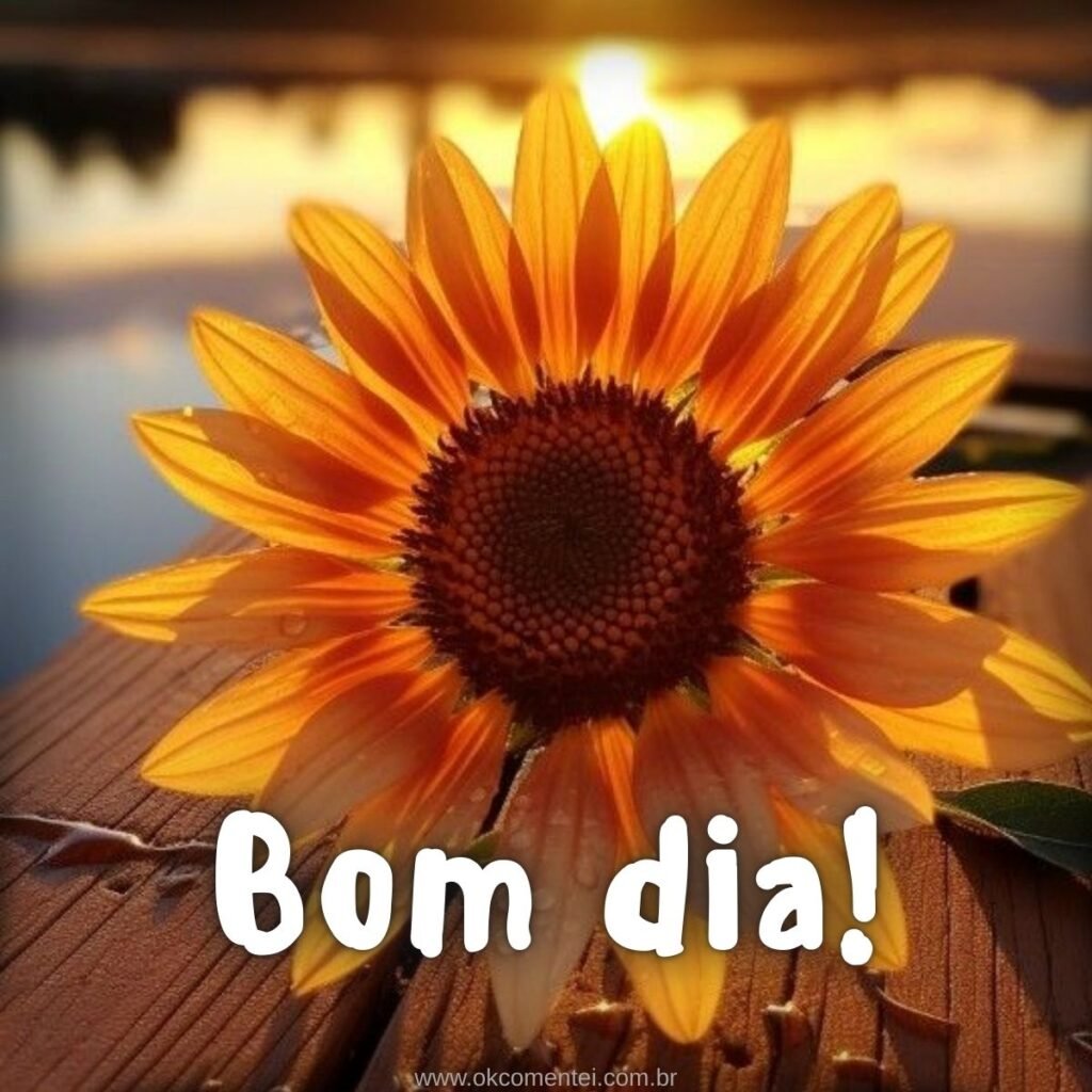 Imagem de bom dia: 31 opções perfeitas para compartilhar imagem-de-bom-dia