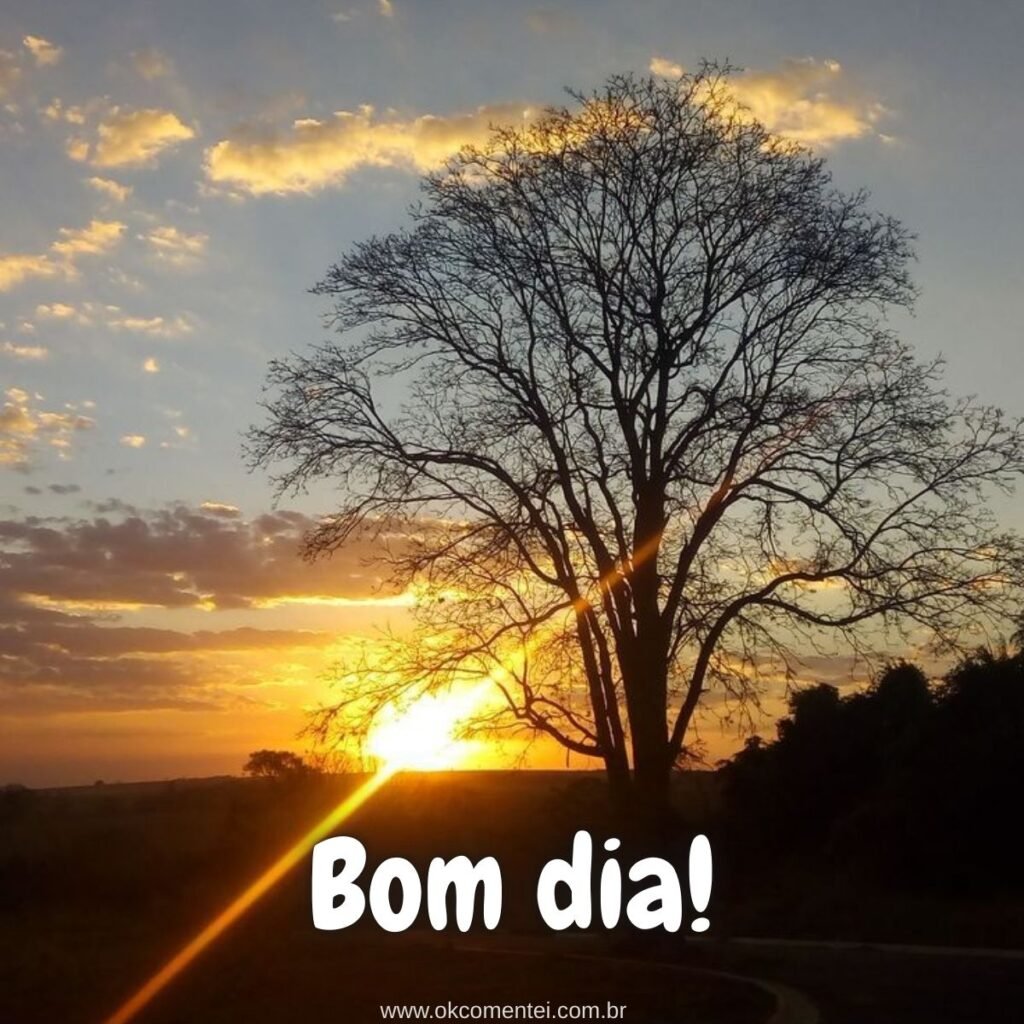 Imagem de bom dia: 31 opções perfeitas para compartilhar imagem-de-bom-dia