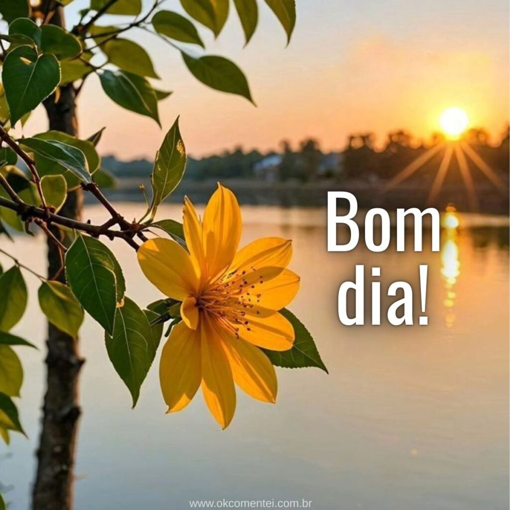 Imagem de bom dia: 31 opções perfeitas para compartilhar imagem-de-bom-dia