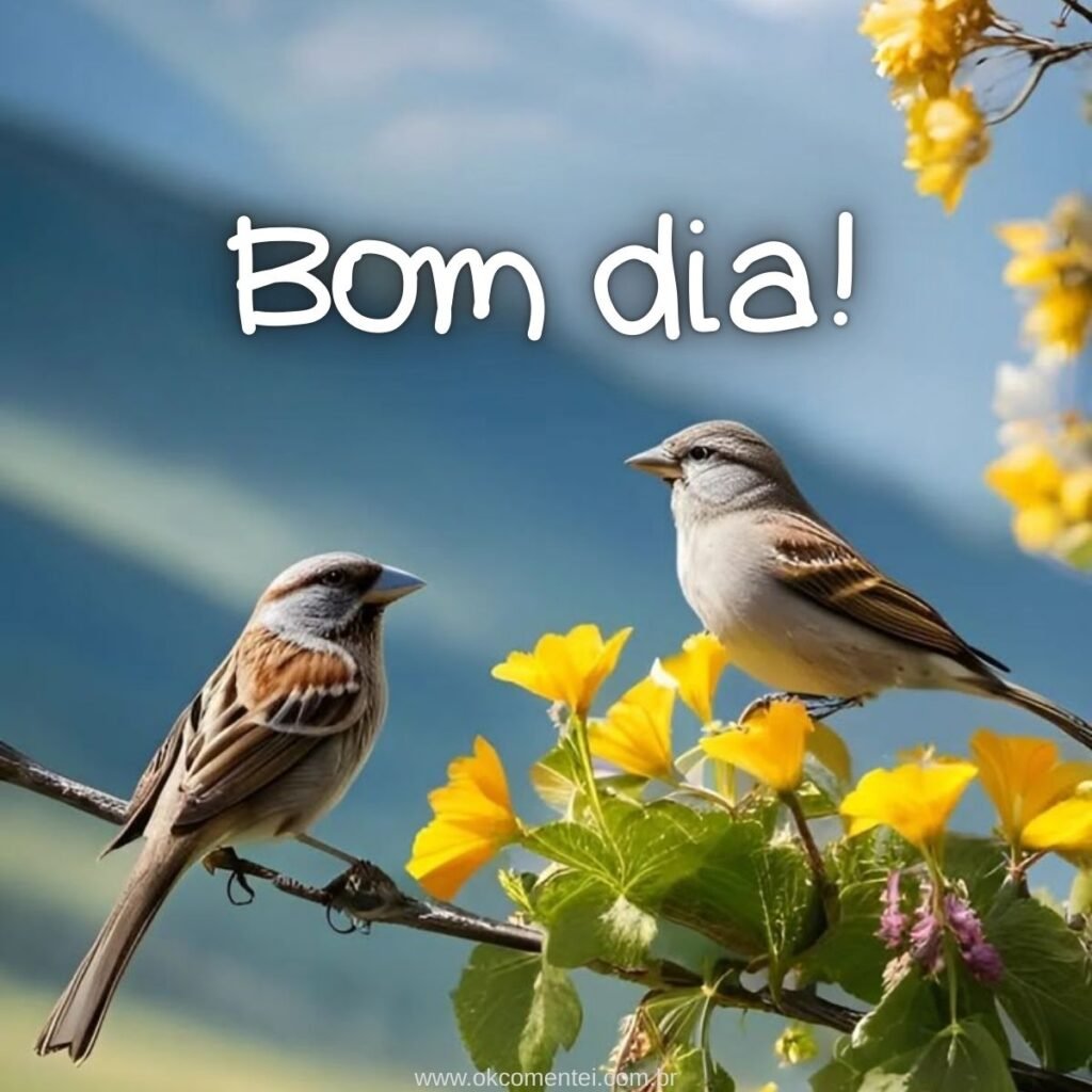 Imagem de bom dia: 31 opções perfeitas para compartilhar imagem-de-bom-dia