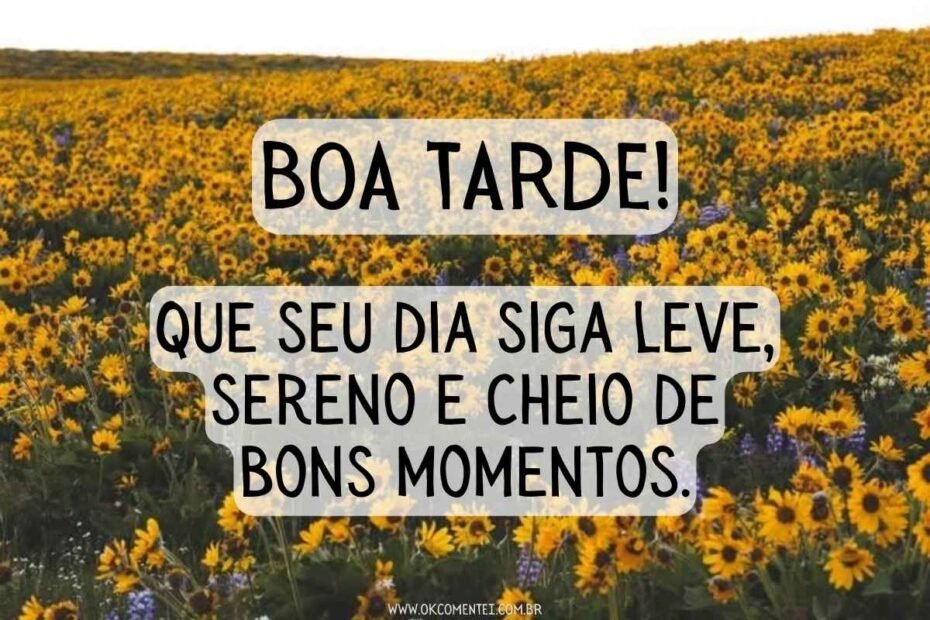 BOA-TARDE-COM-CARINHO