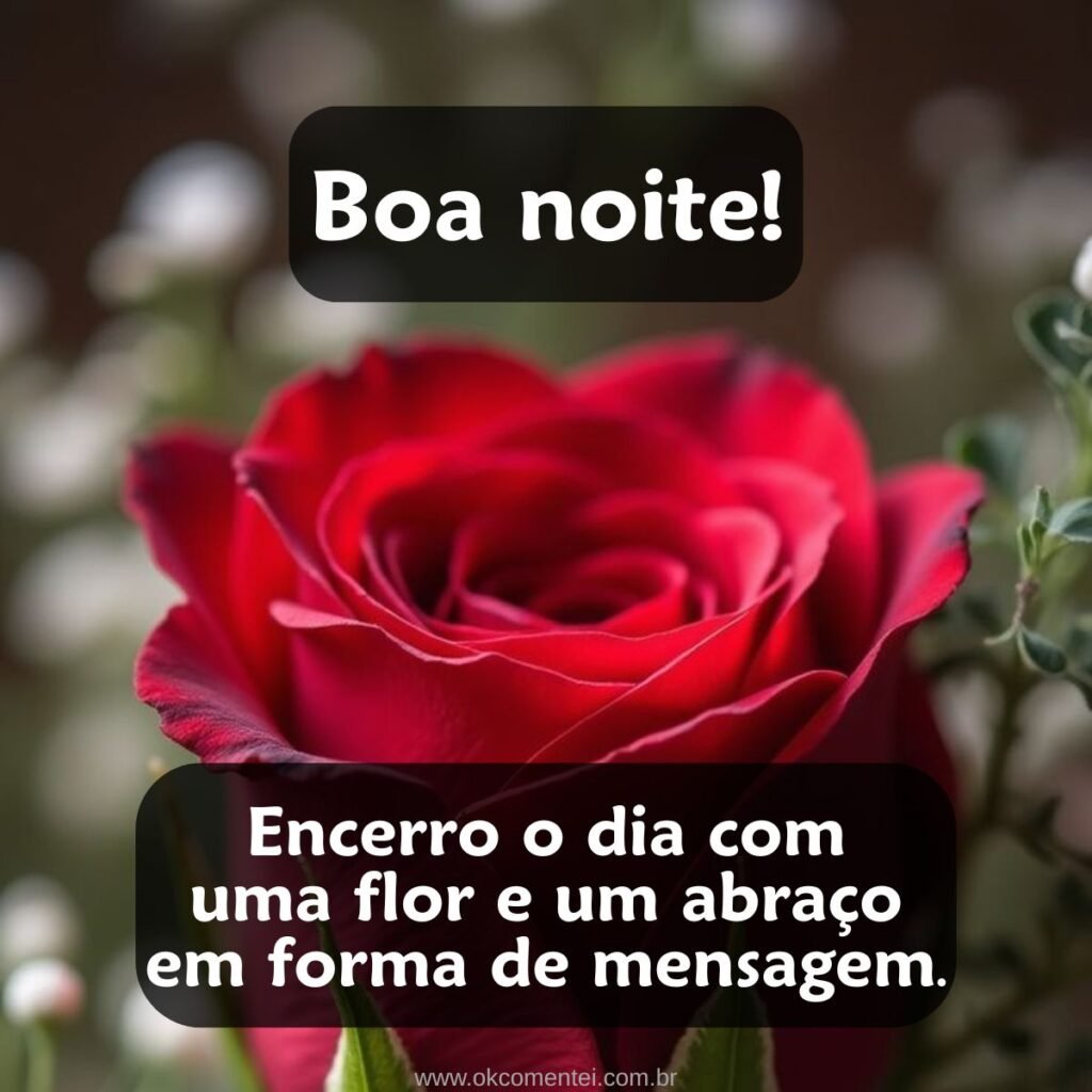 21 boa noite com flores para WhatsApp: as mais lindas mensagens boa-noite-com-flores