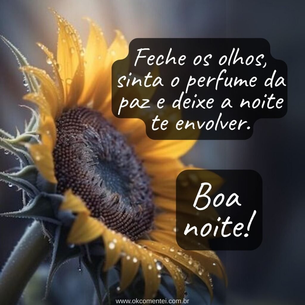 21 boa noite com flores para WhatsApp: as mais lindas mensagens boa-noite-com-flores