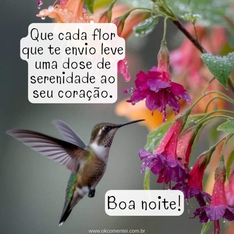 21 boa noite com flores para WhatsApp: as mais lindas mensagens