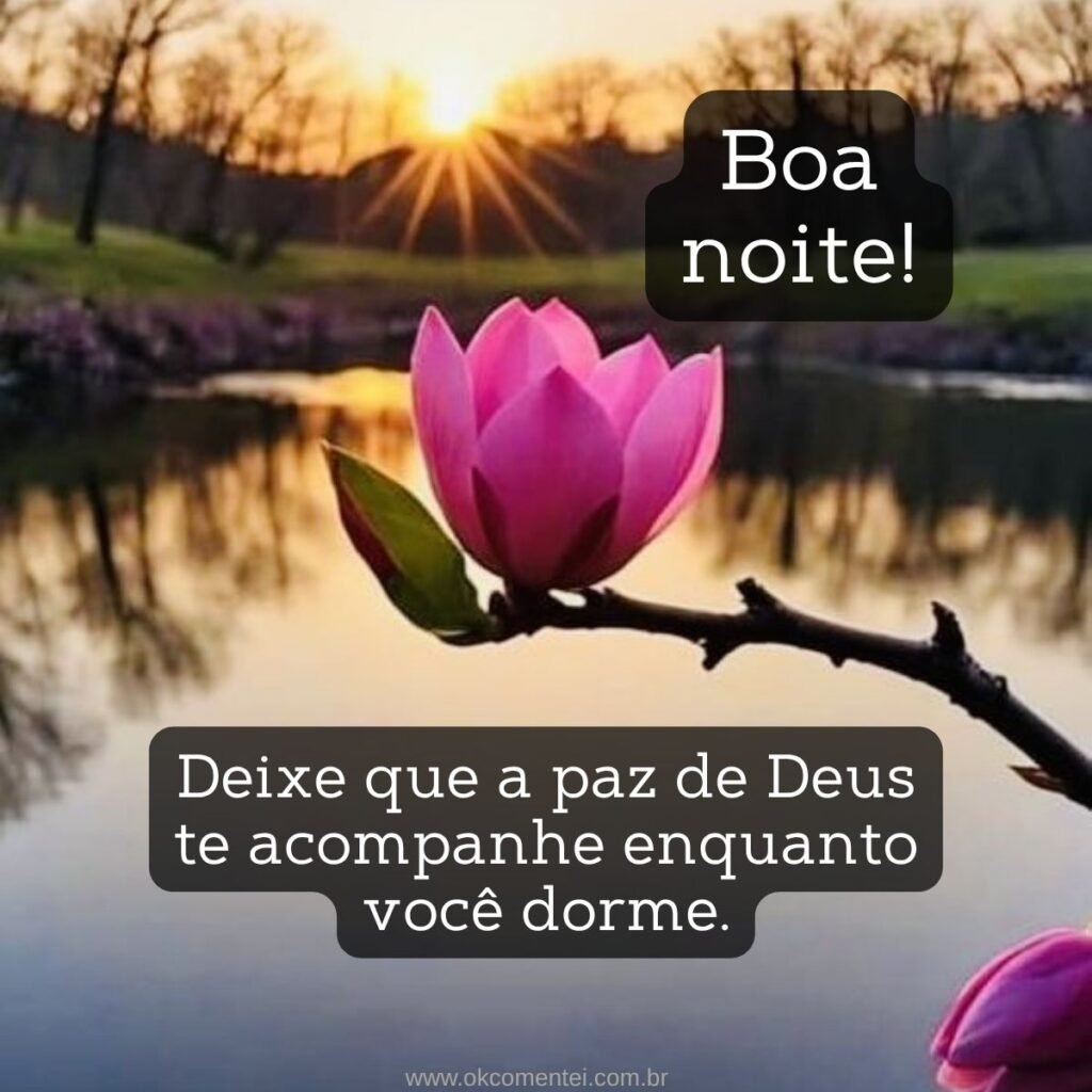 21 boa noite com flores para WhatsApp: as mais lindas mensagens boa-noite-com-flores