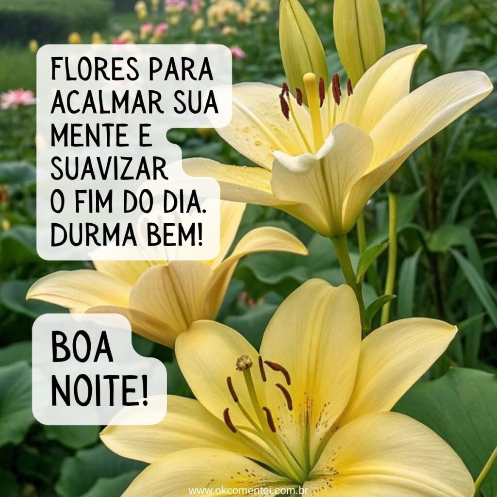 21 boa noite com flores para WhatsApp: as mais lindas mensagens boa-noite-com-flores