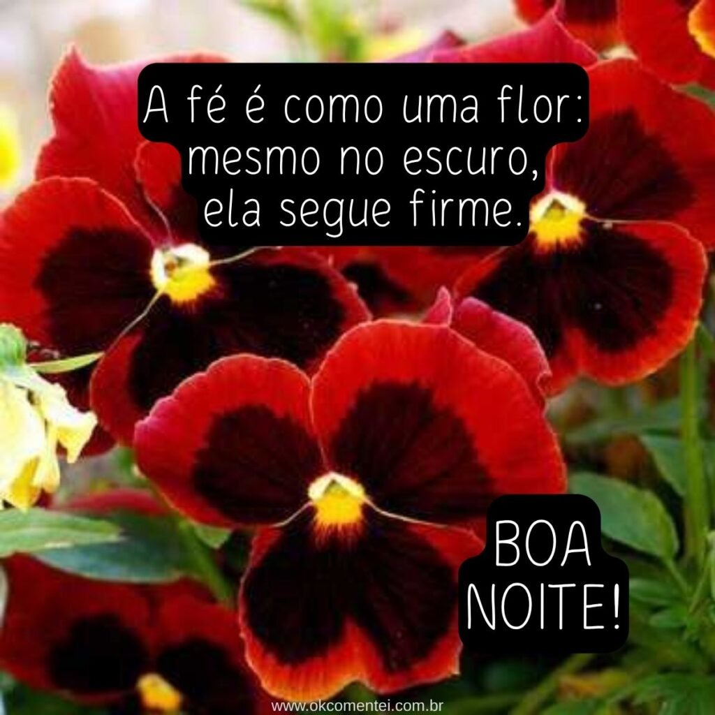 21 boa noite com flores para WhatsApp: as mais lindas mensagens boa-noite-com-flores