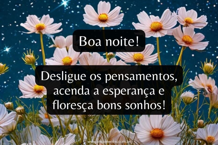 boa-noite-com-flores