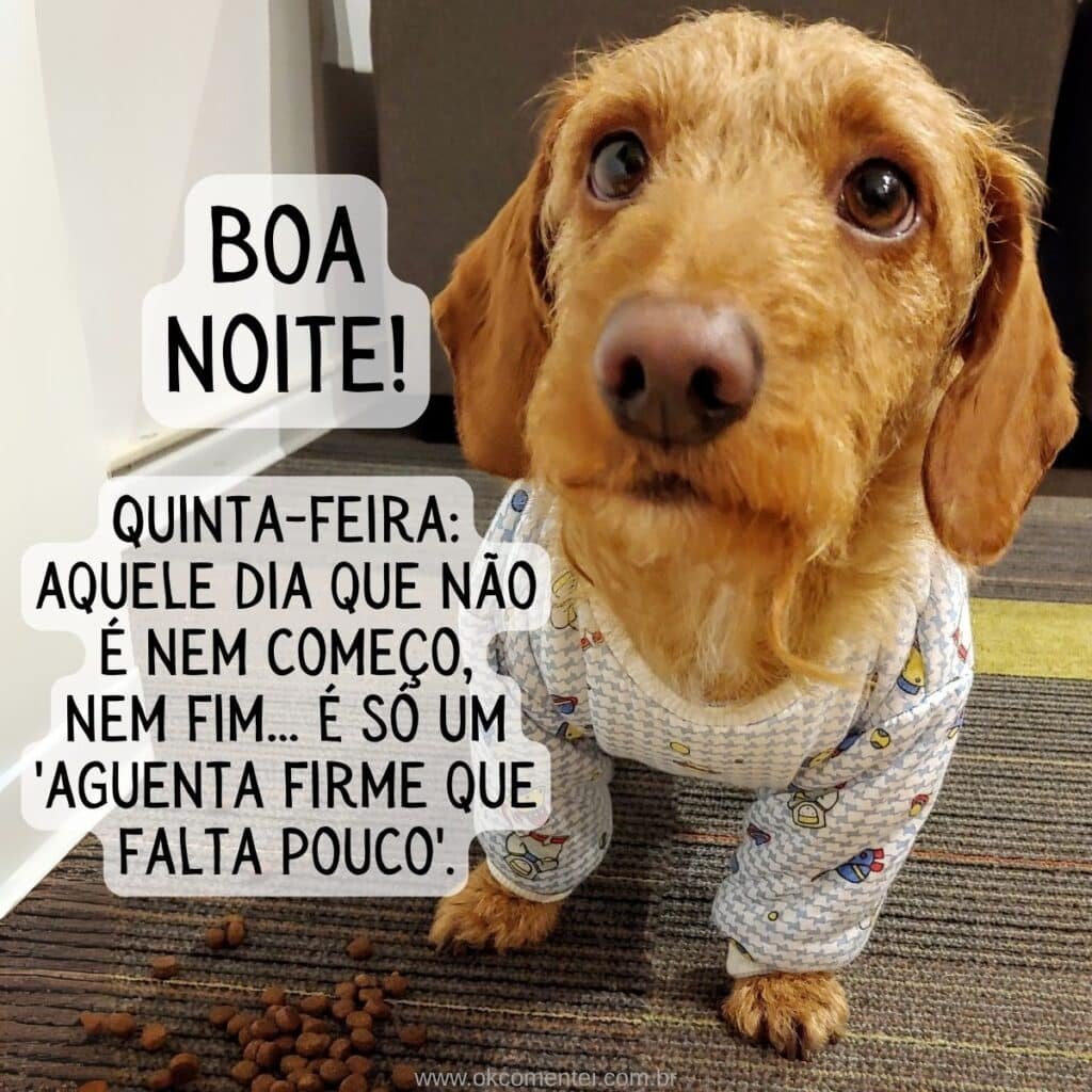 Boa noite, quinta-feira: 52 mensagens para compartilhar boa-noite-quinta-feira