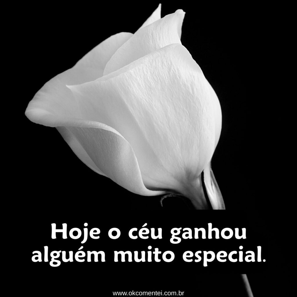 71 frases de luto para status que tocam o coração e transmitem conforto frases-de-luto-para-status