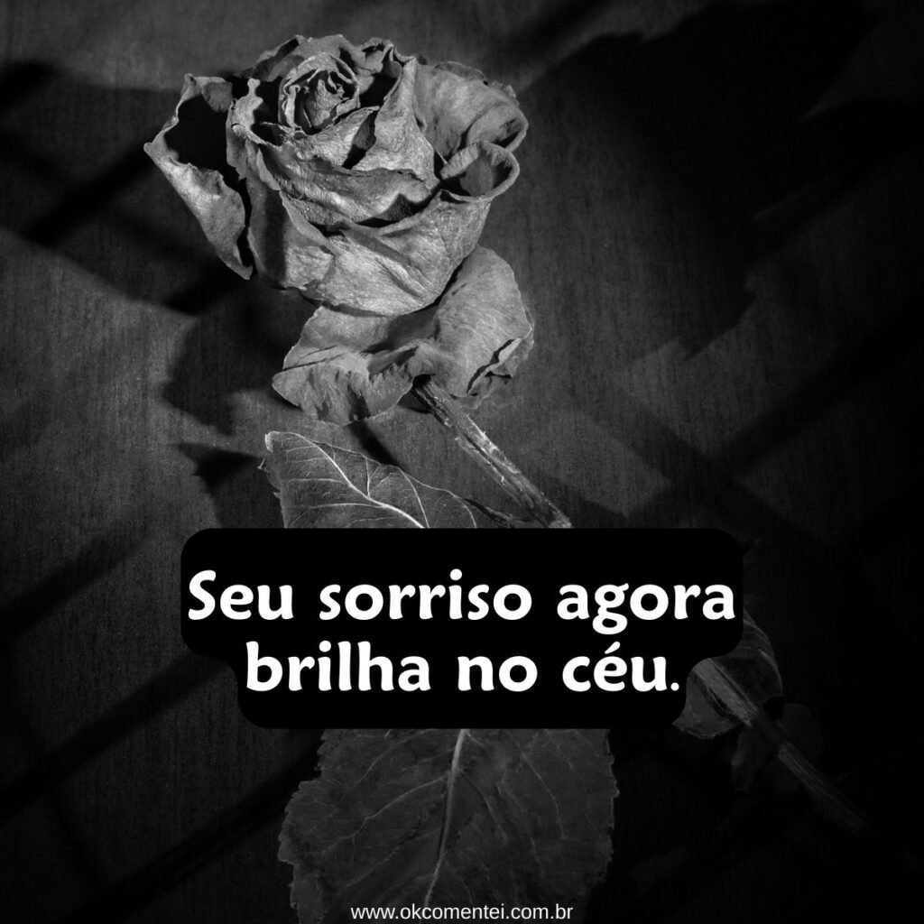71 frases de luto para status que tocam o coração e transmitem conforto frases-de-luto-para-status