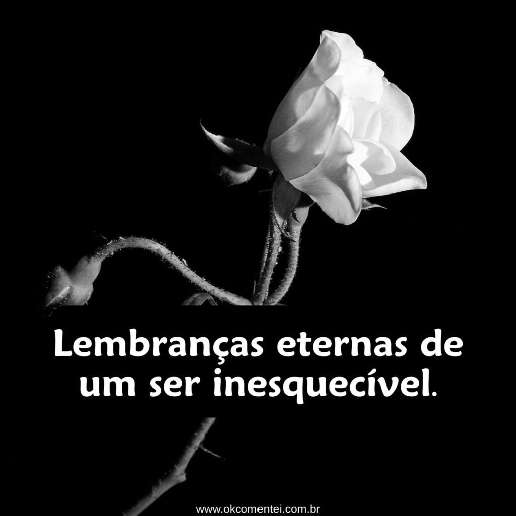 71 frases de luto para status que tocam o coração e transmitem conforto frases-de-luto-para-status