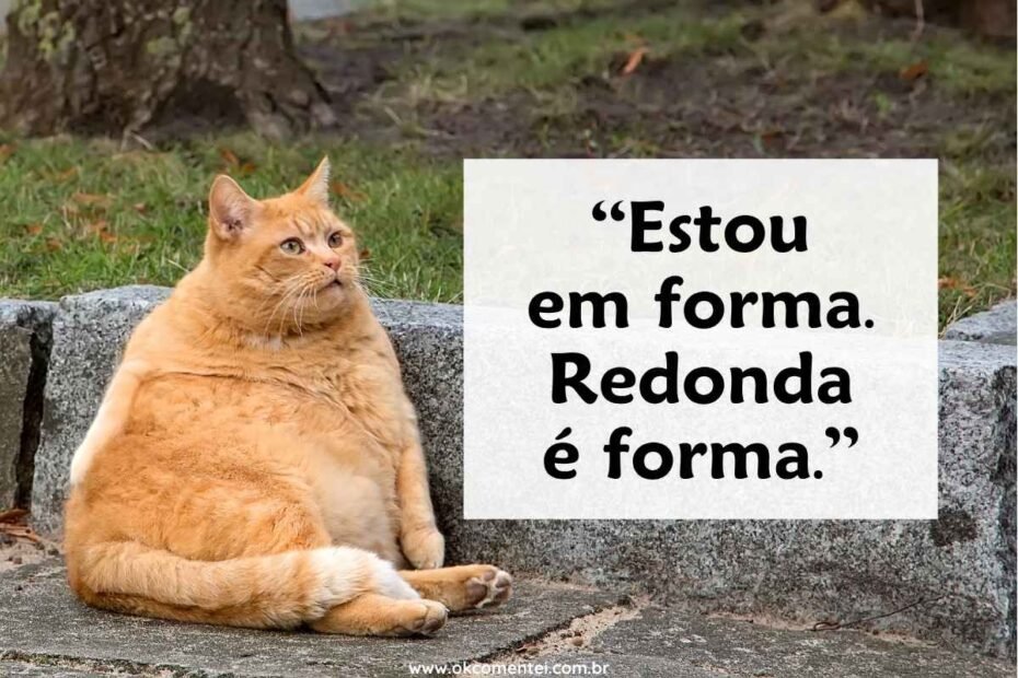 frases-engraçadas-para-rir-até-chorar