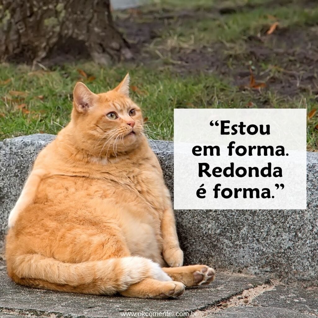 81 frases engraçadas para rir até chorar: humor garantido para animar o seu dia frases-engraçadas-para-rir-até-chorar