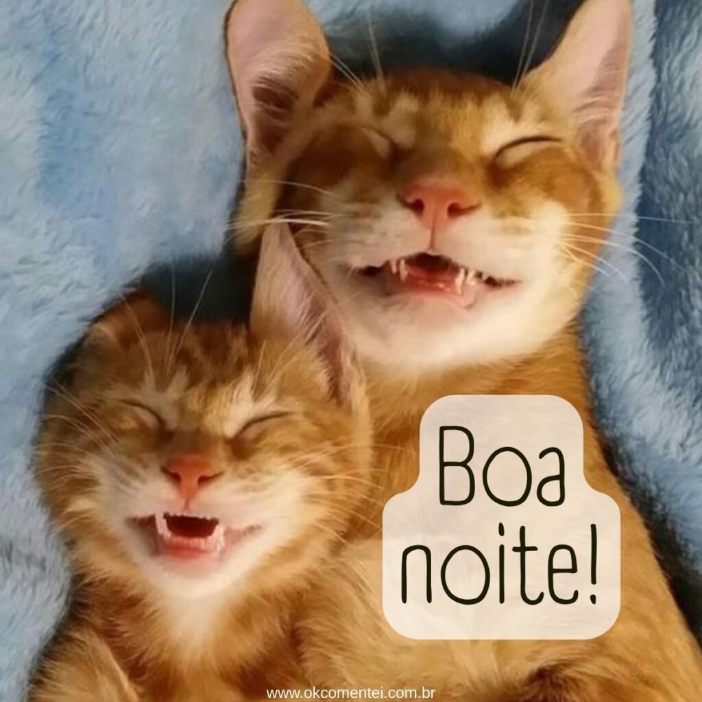 Imagem de boa noite: 31 opções perfeitas para compartilhar imagem-de-boa-noite