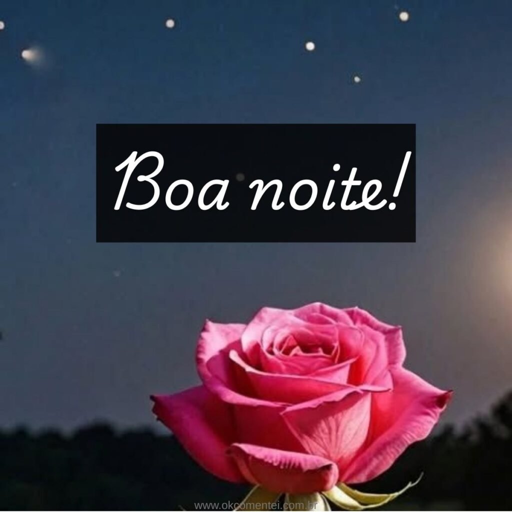 Imagem de boa noite: 31 opções perfeitas para compartilhar imagem-de-boa-noite