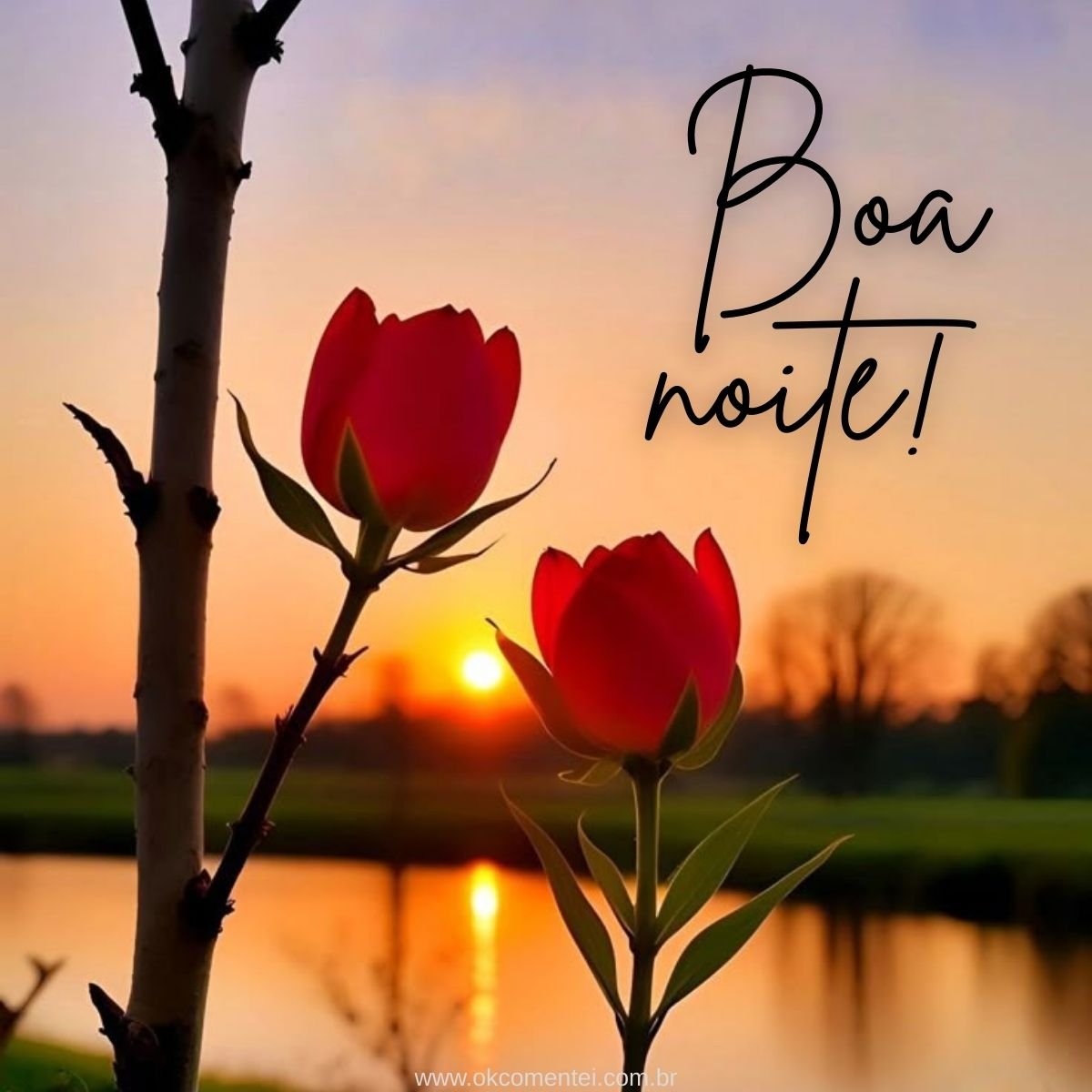 Imagem de boa noite: 31 opções perfeitas para compartilhar