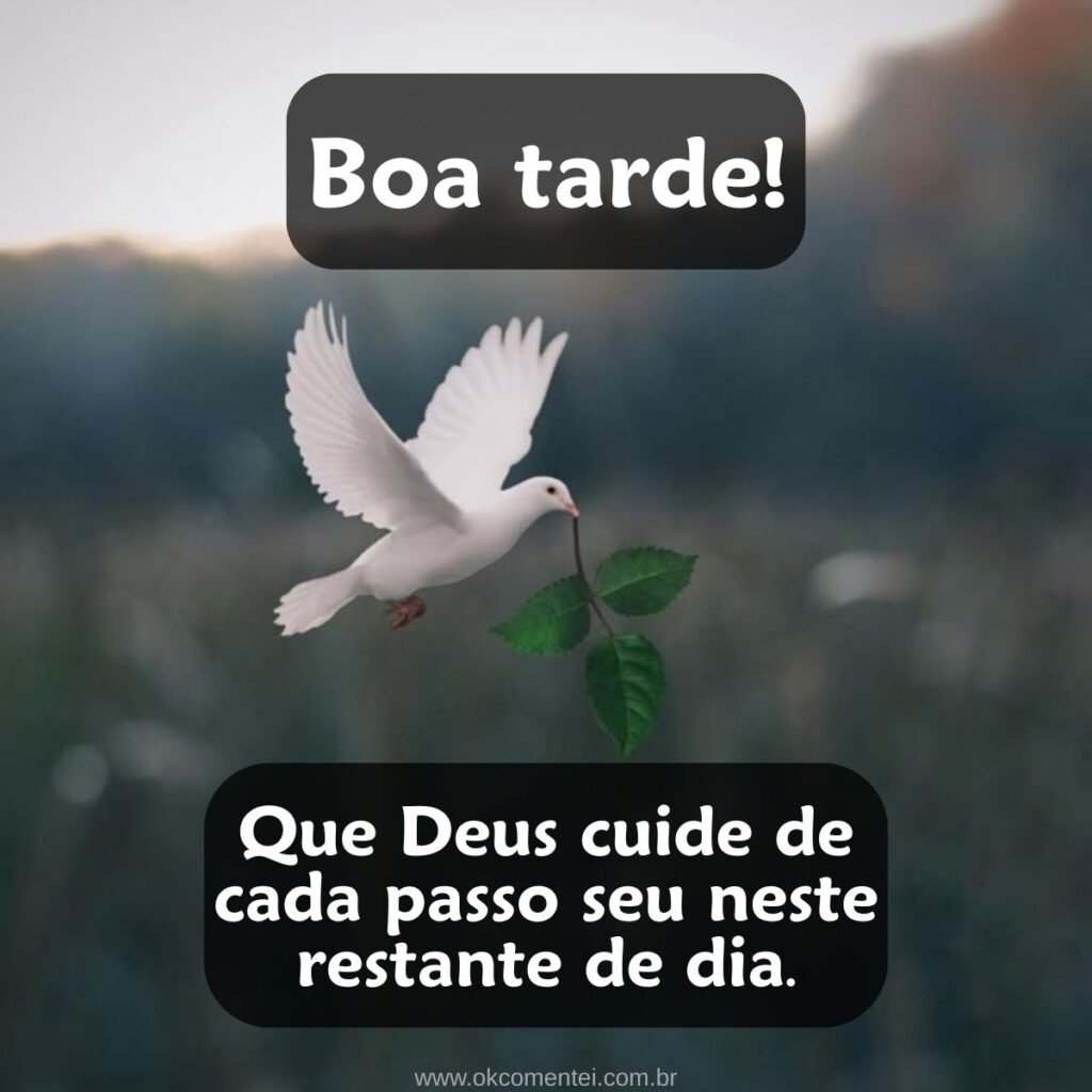 31 mensagens de boa tarde com carinho para WhatsApp mensagem-de-boa-tarde-com-carinho