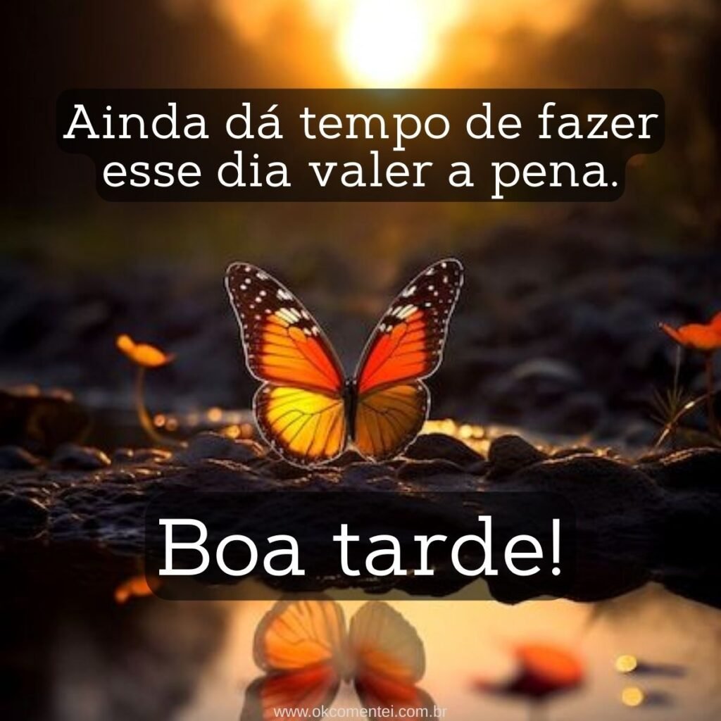 31 mensagens de boa tarde com carinho para WhatsApp mensagem-de-boa-tarde-com-carinho