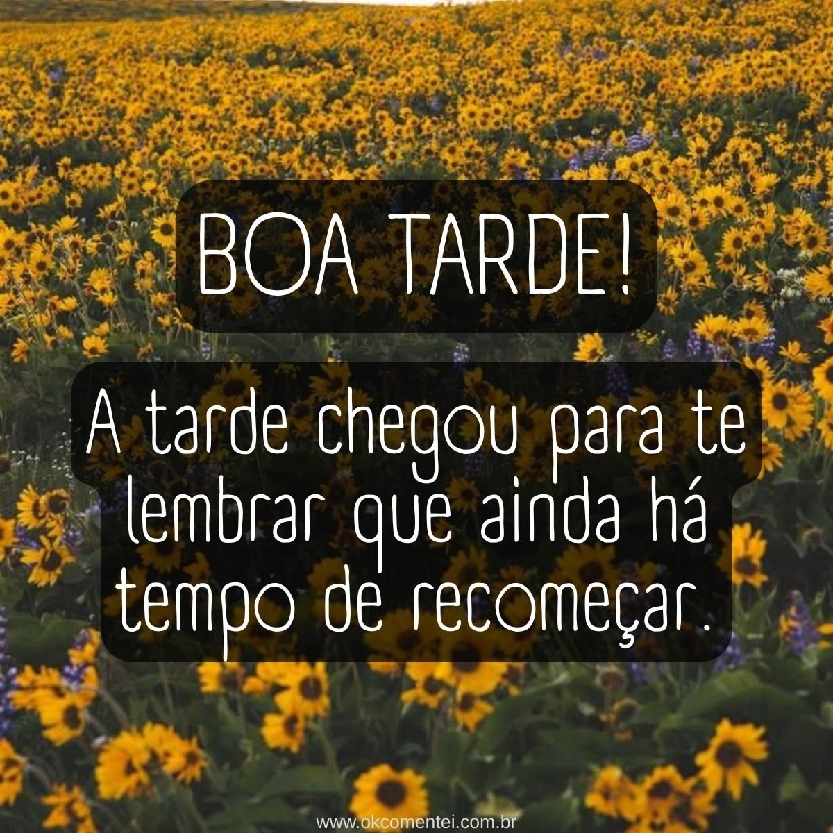 31 mensagens de boa tarde com carinho para WhatsApp