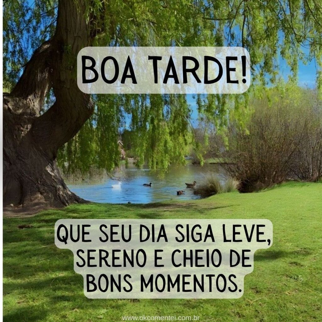 31 mensagens de boa tarde com carinho para WhatsApp mensagem-de-boa-tarde-com-carinho
