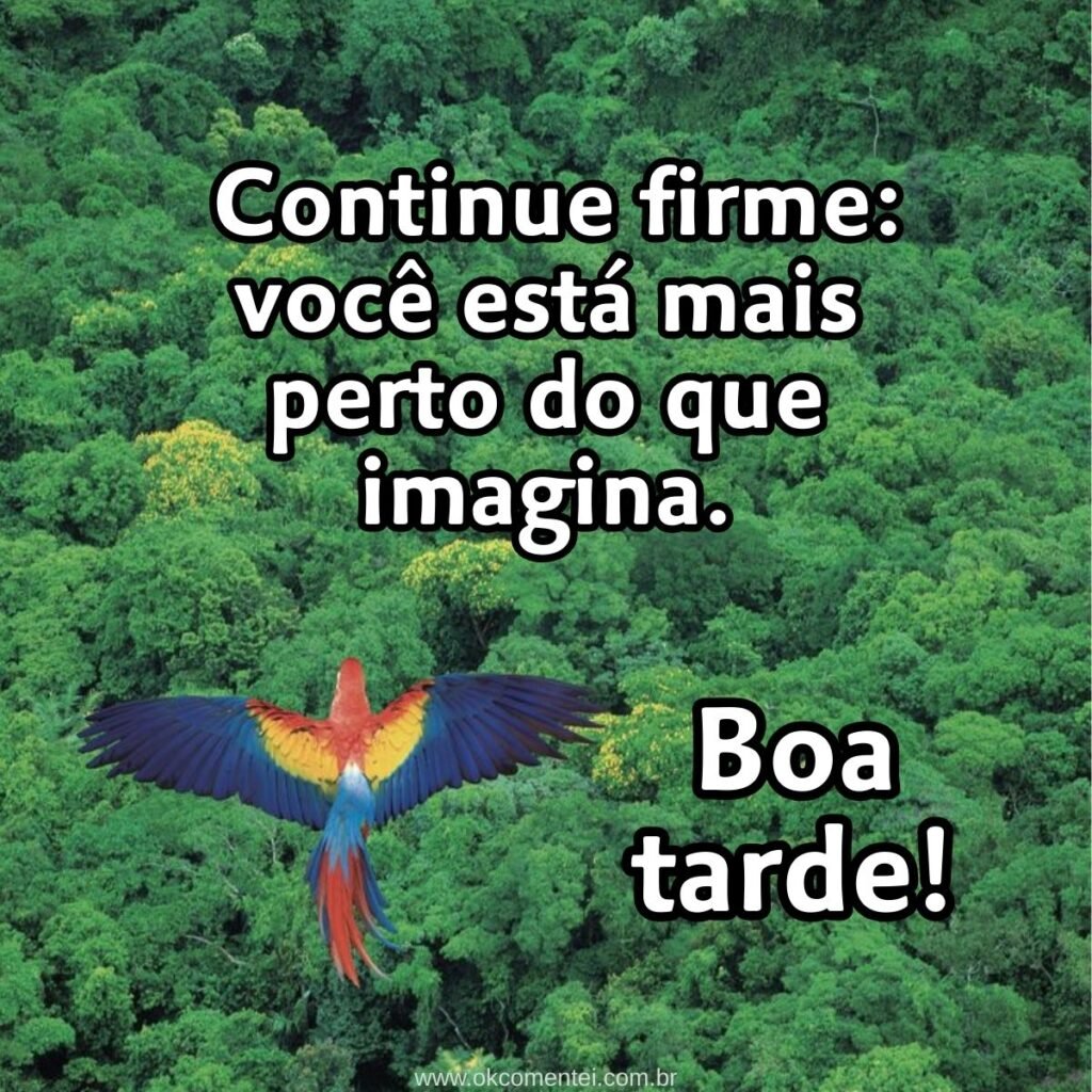 31 mensagens de boa tarde com carinho para WhatsApp mensagem-de-boa-tarde-com-carinho