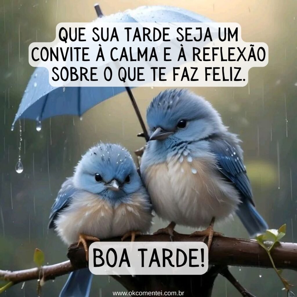 31 mensagens de boa tarde com carinho para WhatsApp mensagem-de-boa-tarde-com-carinho