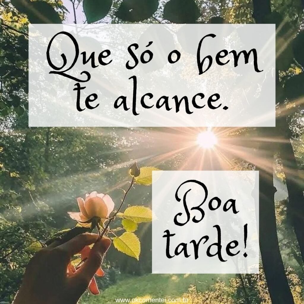 31 mensagens de boa tarde com carinho para WhatsApp mensagem-de-boa-tarde-com-carinho